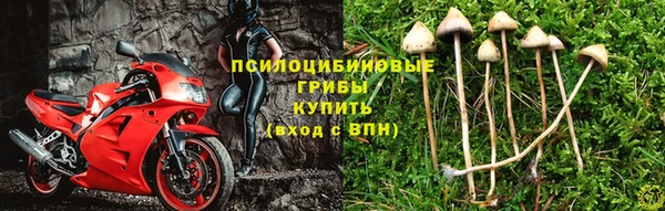 спайс Алексеевка