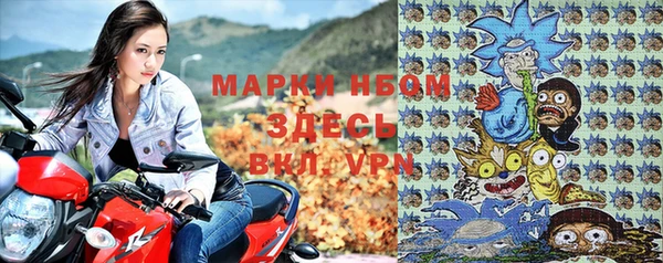 прущие грибы Алексин