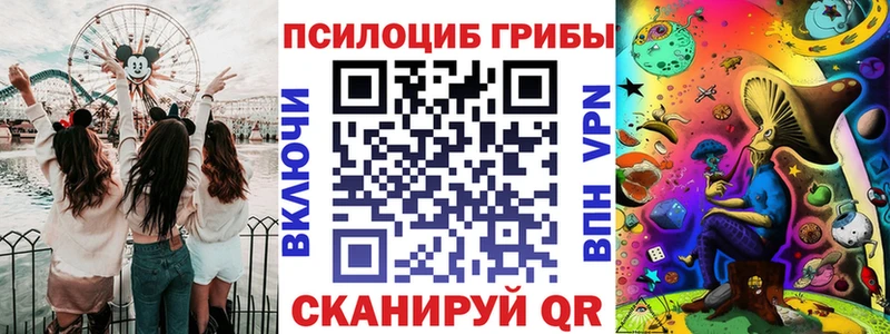 купить наркотик  Покров  Галлюциногенные грибы Psilocybine cubensis 